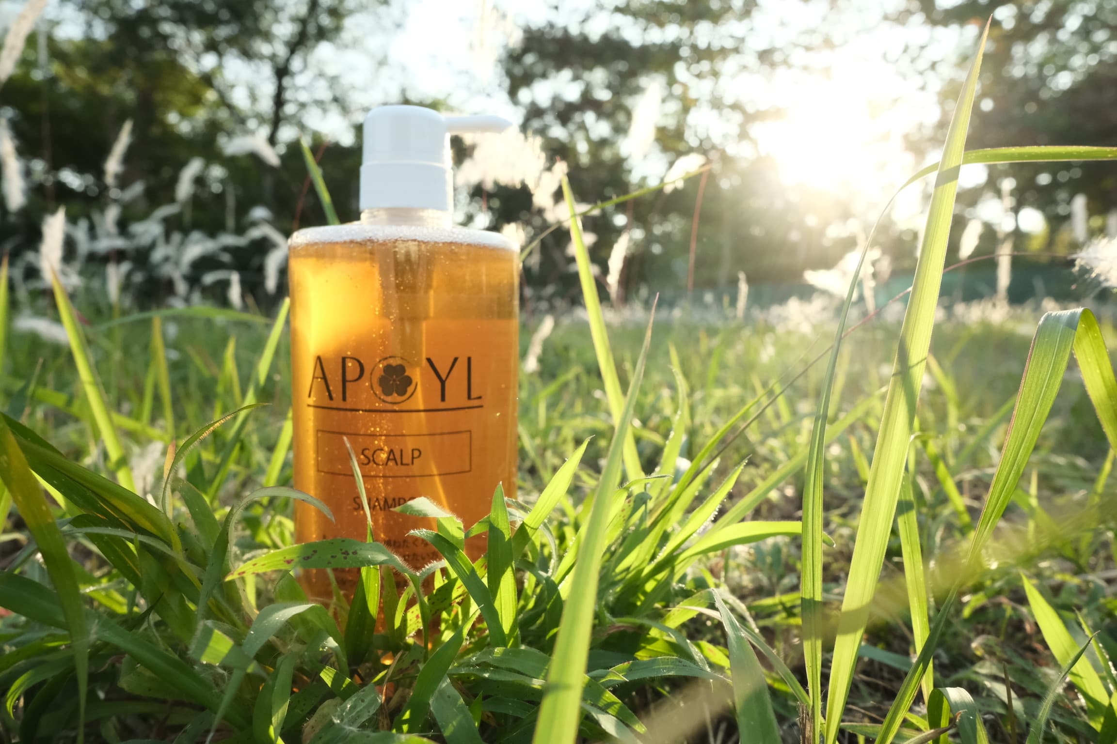 從敏感到健康：Scalp 洗護系列如何重塑你的頭皮環境